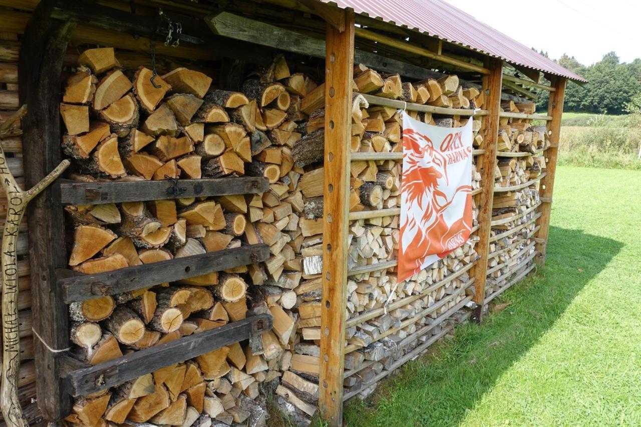 Zacisze Domek alpejski Solina (Podkarpackie)